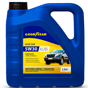Elite Car 5W30 A5/B5