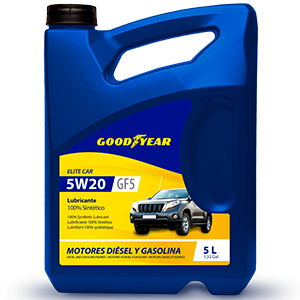 Elite Car 5W20 GF-5